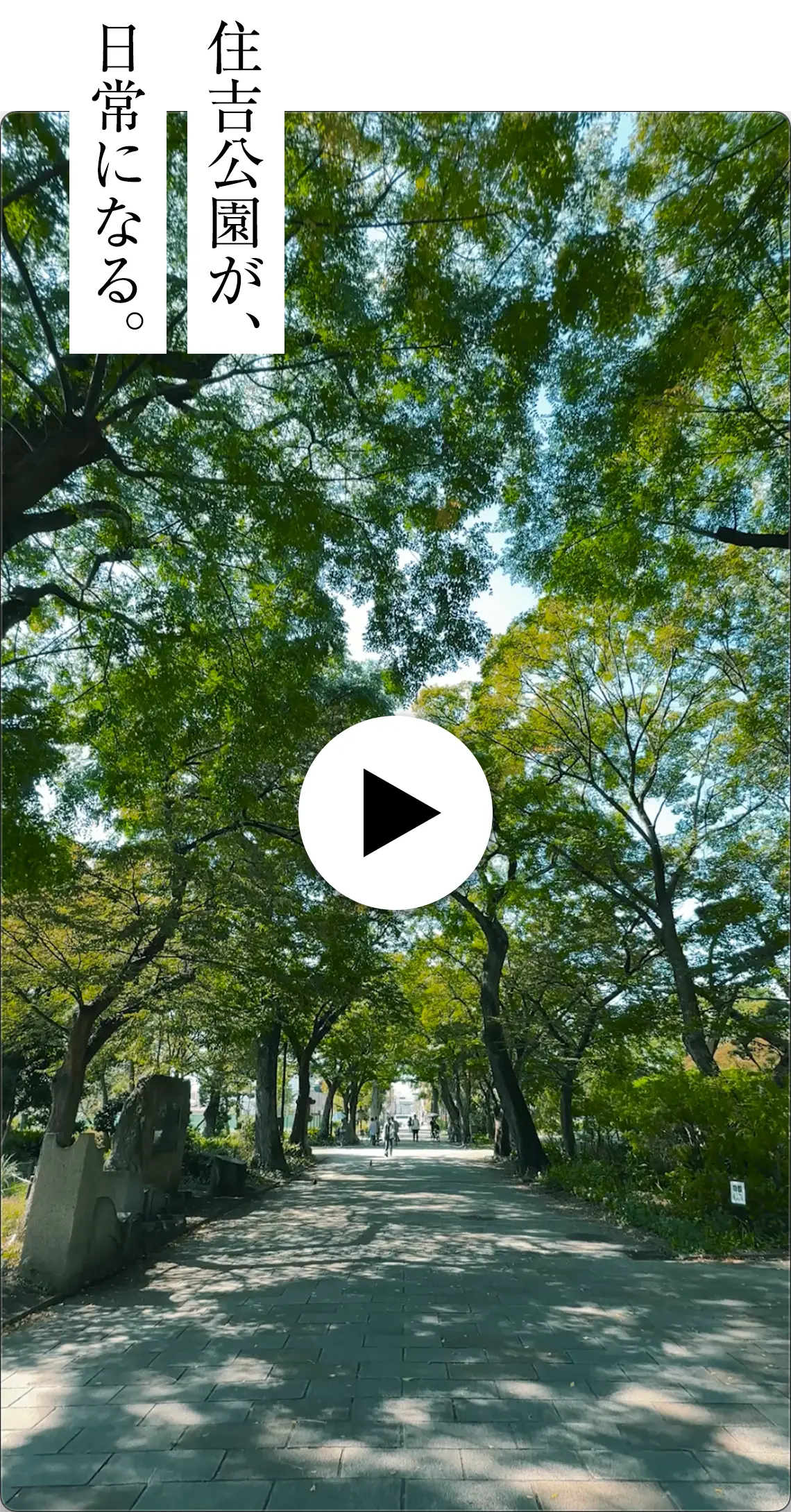 住吉公園が、日常になる。