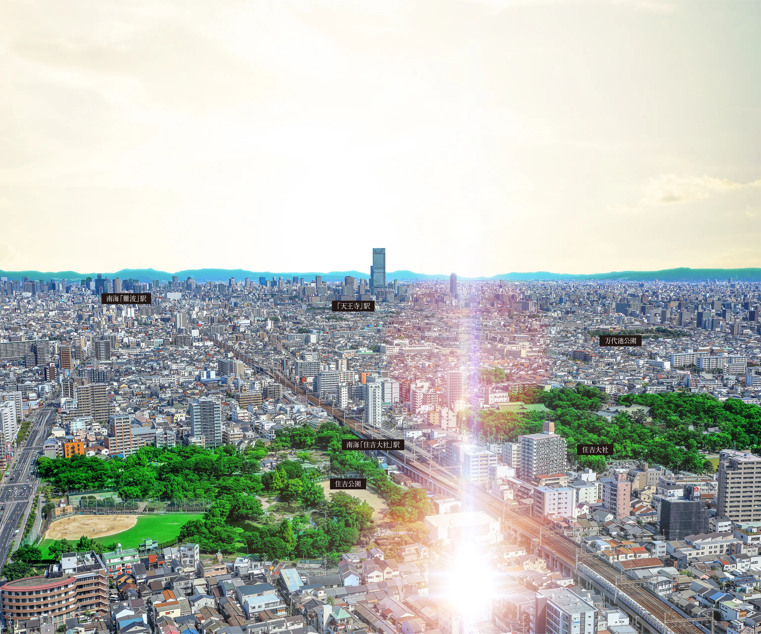 航空写真