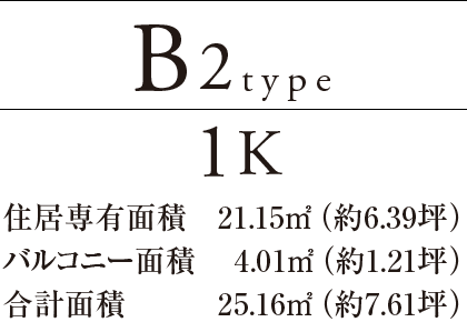 B2type